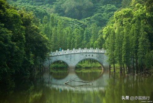 绍兴避暑村庄排名前十(绍兴乡村旅游景点)插图26