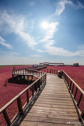 山东户外旅游排名前十(山东夕阳红旅游专列)插图20
