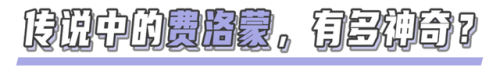 同志催情(rush是什么东西的中文名)插图1