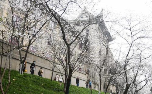 传媒大学排名(传媒大学录取分数线)插图2