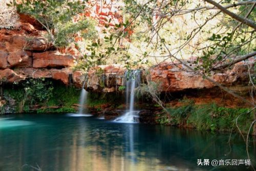 悉尼潜水设施排名前十(悉尼最危险的十个区)插图28