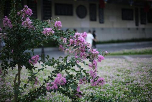 常德所有景区排名前十(中国5a景区排名100强表)插图14