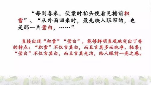 霜树尽空枝肠断丁香结(芭蕉不展丁香结同向春风各自愁)插图31