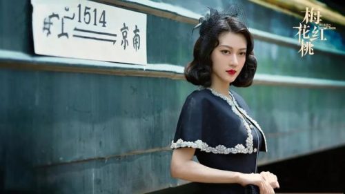 湖南台最新电视剧(湖南台即将上映电视剧)插图7