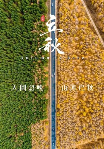 立秋图片大全高清(一叶知秋图片)插图13