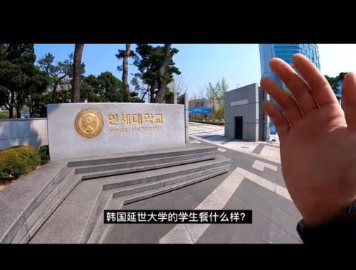 延世大学世界排名(韩国的大学排行榜)插图1