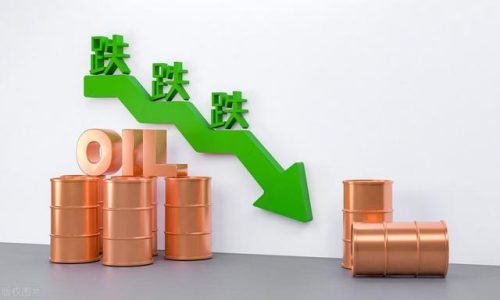 中国石油储量(中国石油可以自给自足吗)插图6