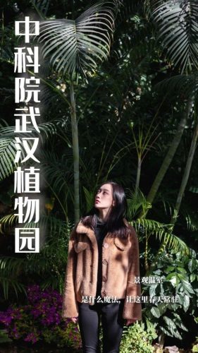 长江最美公园排名前十(长江湿地公园)插图12