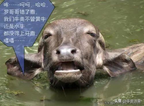 罗伯特纳维利斯(罗伯特·纳维利斯什么时候出生的)插图22