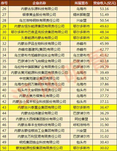 内蒙私企集团排名前十(中国十大民营企业)插图3