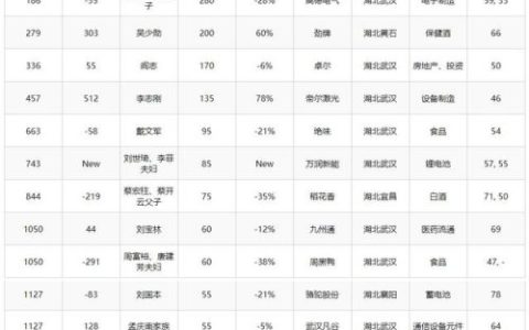 湖北排名前十的富人(湖北洪湖首富十大排名)