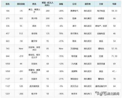 湖北排名前十的富人(湖北洪湖首富十大排名)插图