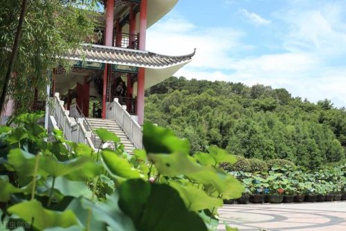 南宁休闲基地排名前十(南宁吃喝玩乐一体的地方)插图23