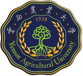 昆明大学(昆明大学是985还是211)插图3