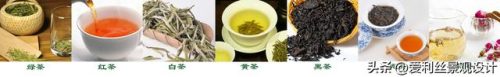 金属茶具产地排名前十(全国最好的茶具产地)插图3