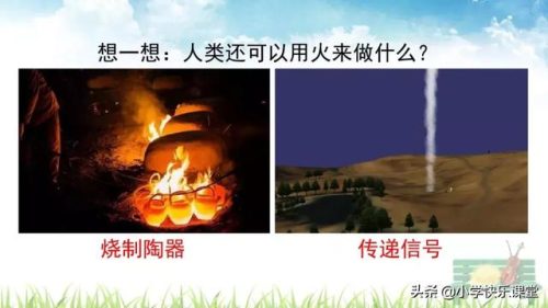 坚决的反义词是什么(坚决对什么)插图29