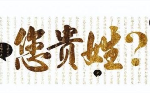 仉行怎么读(行く是什么意思)