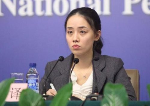 中国外交部四大美女(最美翻译官张璐间谍案)插图3