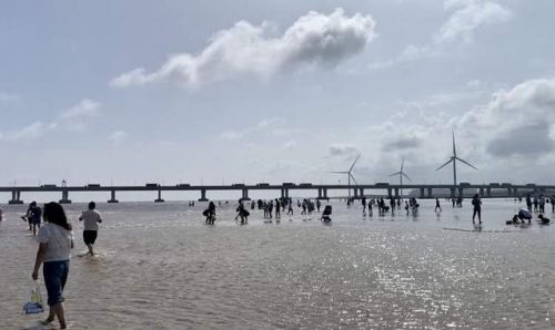 上海碧海金沙好玩吗(上海碧海金沙景区门票多少钱)插图6