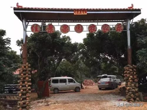 南宁好看农庄排名前十(南宁四塘学雍自然农庄)插图20