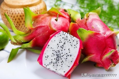 最贵热带果树排名前十(最有性价比的果树)插图1