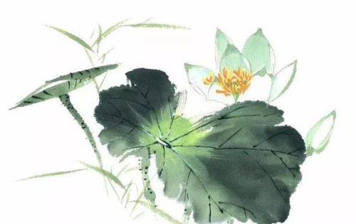 关于赞美荷花的诗句(荷花精美短句)插图