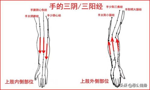 24式太极拳(国家体委24式太极拳教学)插图1