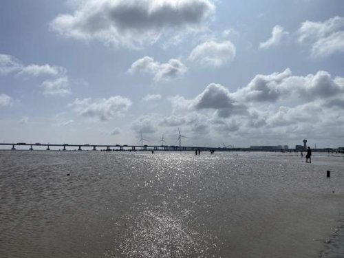 上海碧海金沙好玩吗(上海碧海金沙景区门票多少钱)插图12