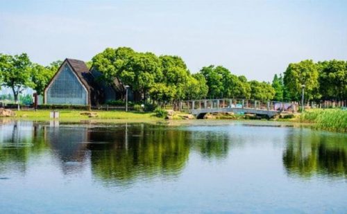 常州的景点排名前十(常州有什么风景区)插图39