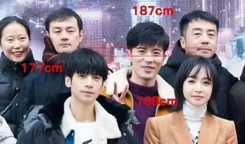 男明星身高排名前十(170以上的女明星)插图1