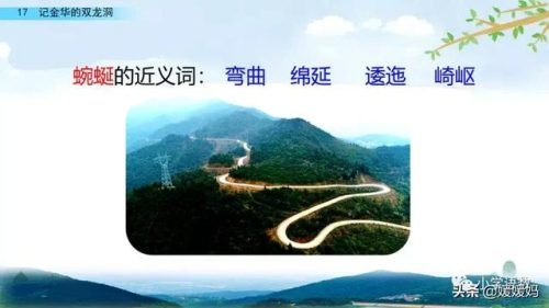 鹃的组词(扑的词语)插图55