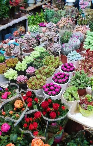 济南推荐花店排名前十(济南花店,济南鲜花速递,送花上门)插图10