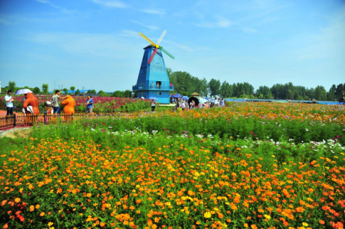 合肥有什么好玩的(合肥有什么好吃的)插图15