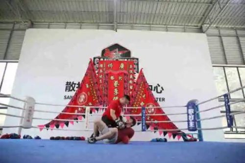 广东武术基地排名前十(佛山武术十强)插图2