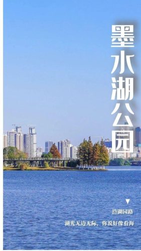 长江最美公园排名前十(长江湿地公园)插图41