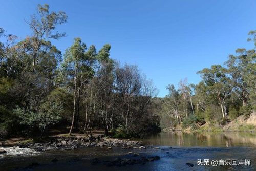 悉尼潜水设施排名前十(悉尼最危险的十个区)插图19