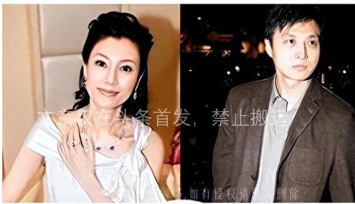 明星婚姻利益排名前十(婚姻本质说白了就是利益关系)插图2