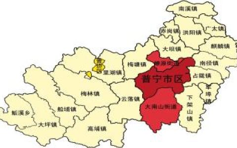 普宁富豪身价排名前十(普宁富豪张中俊)