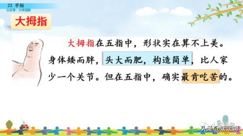 拇组词组(拇指的拇还能组哪些词)插图43