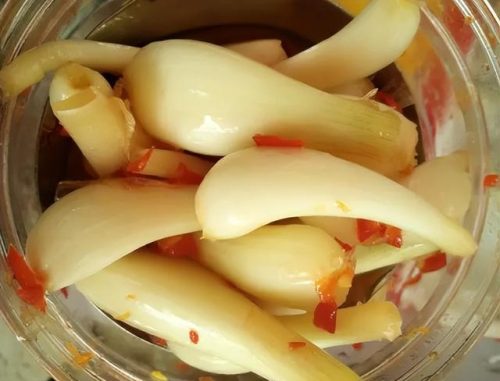 常德海鲜腌菜排名前十(常德徐记海鲜)插图5