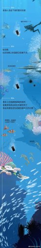 深海鱼类(十大有营养深海鱼)插图1