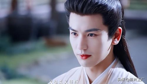 白鹿许凯(2023年白鹿许凯现在关系如何)插图10