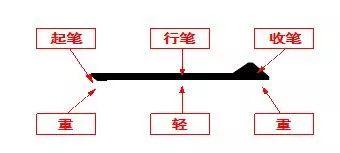 你的笔顺(你的正确写法)插图1