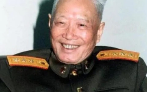 张震上将(张震子女如何)