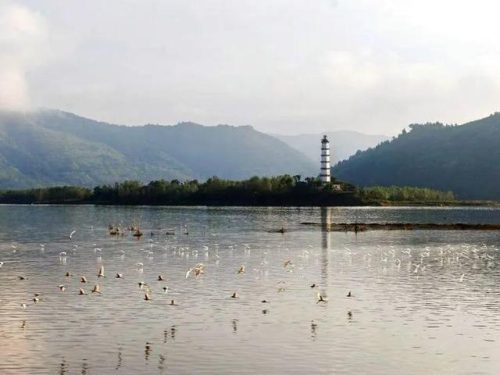 怀化洗浴会所排名前十(怀化2019洗浴休闲会所)插图8
