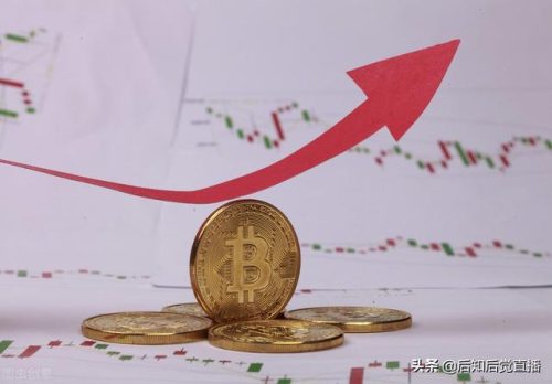 分拣加工企业排名前十(做分拣员哪个公司比较好)插图