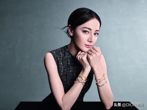 璀璨玫瑰(璀璨之花)插图6