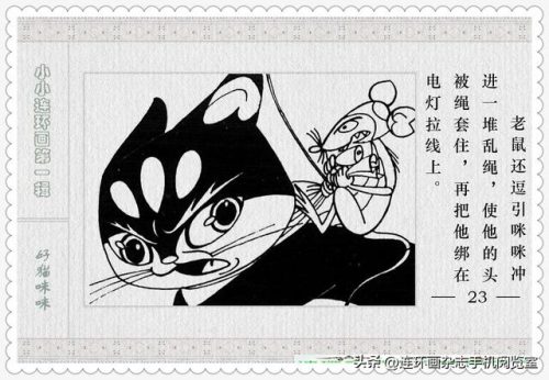 好猫咪咪(好猫咪咪的登录方式)插图24