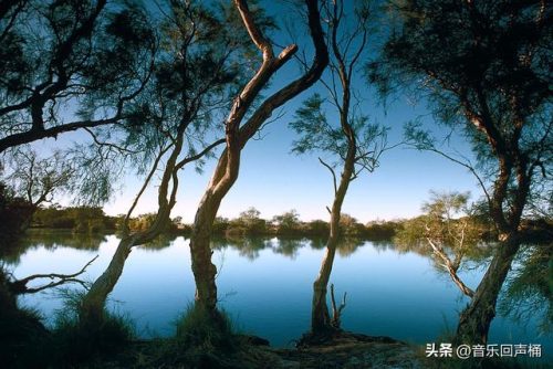 悉尼潜水设施排名前十(悉尼最危险的十个区)插图43
