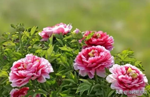 西昌游玩项目排名前十(西昌发射中心游玩攻略)插图29